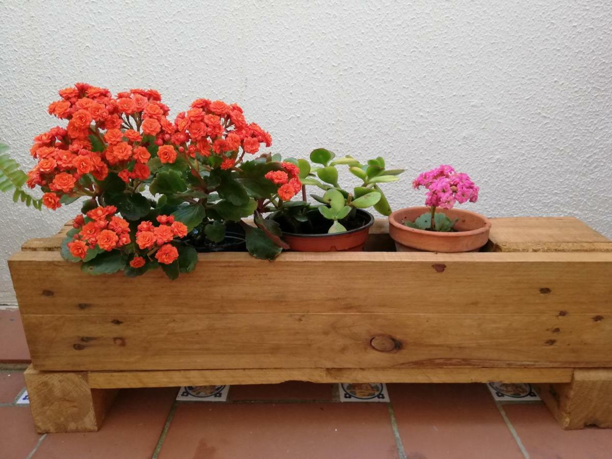 Apartamentos Coralba - Duplex Bahia De Cadiz سان فرناندو المظهر الخارجي الصورة